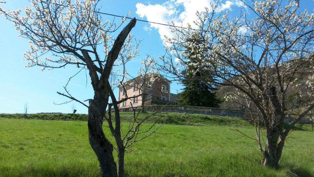 La Villa Du Collet La Penne Kültér fotó